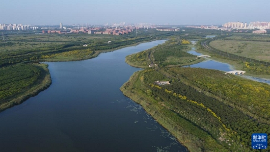 这是在天津市海河教育园区拍摄的天津绿色生态屏障区一景（2020年9月2日摄）。新华社记者 孙凡越 摄