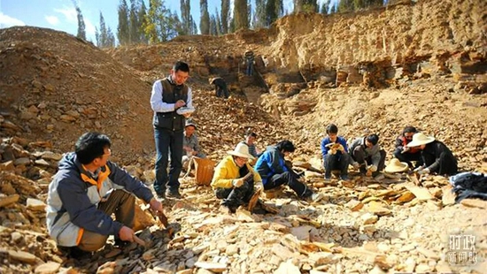 △云南大学研究团队的《寒武纪特异保存化石与节肢动物早期演化》项目获国家自然科学奖二等奖,这是他们采集化石的工作现场。(资料图)