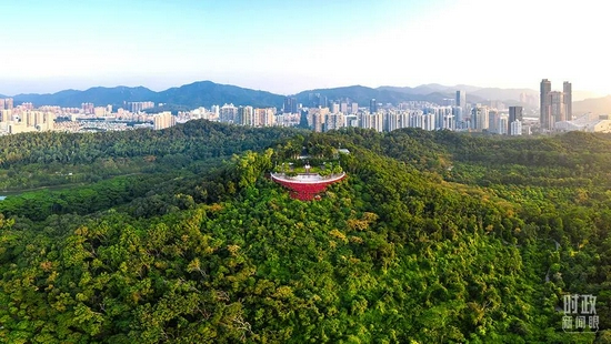 △深圳市莲花山公园。（图/视觉中国）