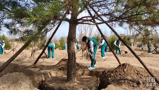  △少先队员们挥锹铲土。（总台央视记者郭鸿拍摄）