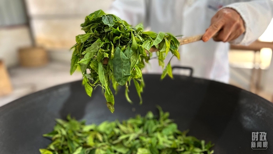  △水满乡毛纳村的制茶师傅正在炒茶青。（总台央视记者邢彬拍摄）
