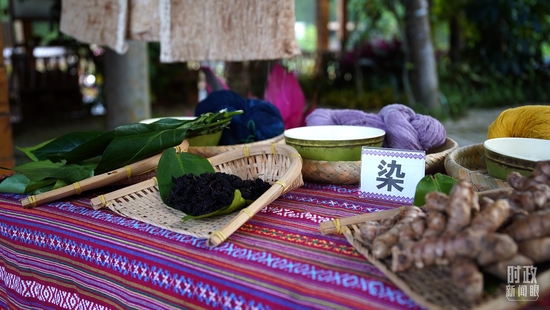  △制作黎锦的染料及来源。（总台央广记者潘毅拍摄）