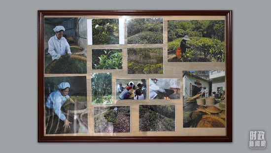  △王柏和、王菊茹夫妇开的手工制茶作坊以及他们制作水满大叶茶时的工作照。（总台央视记者邢彬、央广记者潘毅拍摄）