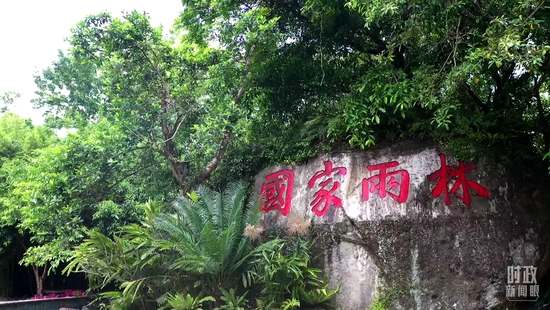 △海南热带雨林国家公园五指山片区。（总台记者钟华夏拍摄）