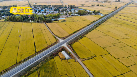 2022年9月15日，黑龙江省齐齐哈尔市甘南县水稻种植区（无人机照片）。新华社记者王松摄