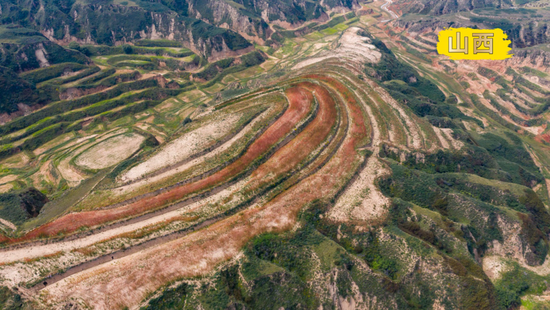  2022年9月16日，山西省忻州市静乐县娘子神乡南舍村的一处藜麦种植基地（无人机照片）。新华社记者杨晨光摄