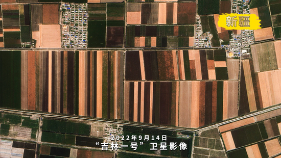 2022年9月14日，新疆维吾尔自治区巴音郭楞蒙古自治州和硕县丰收图景（“吉林一号”卫星拍摄）。