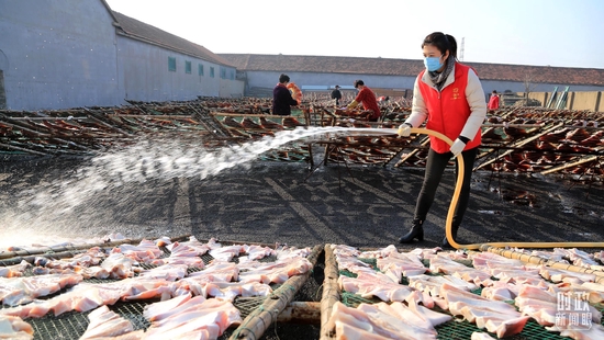 △2022年11月，江苏连云港的年轻干部正在帮助当地村民晾晒鳐鱼干。（图/视觉中国）