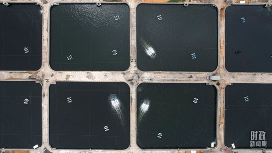 △位于广东湛江的国家863计划项目海水养殖种子工程南方基地。（总台国广记者李晋拍摄）