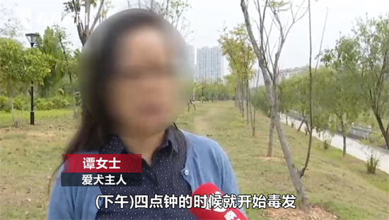 22只宠物11平台直播狗相继死亡 同一个特征让警方
