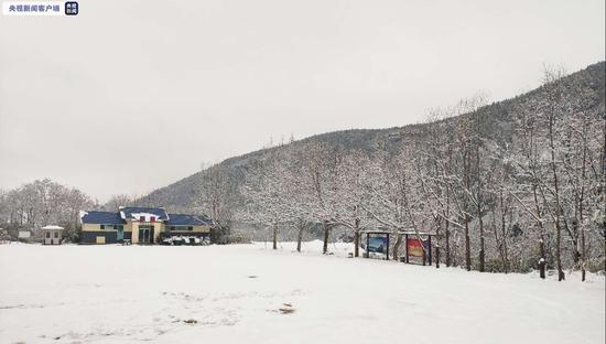 山东迎来大范围降雪 部分高速公路临时关闭