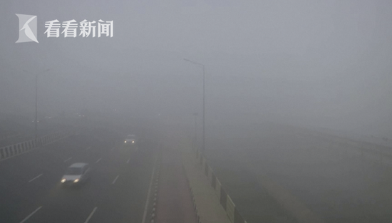 印度新德里浓雾席卷影响出行 学校停课飞机延误
