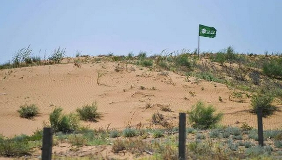 网友吐槽根本不种树蚂蚁森林回应