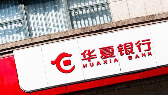 巴黎动物园私享指南：在狮吼与企鹅凝视中开派对