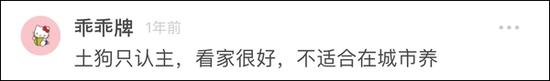 田园小狗:杭州养狗严管惹争议:“国产狗”也属禁止饲养犬