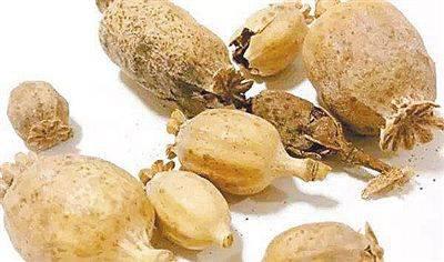 罂粟壳火锅:火锅好吃罂粟壳作祟?专家:网传图把草果当罂粟壳 罂粟壳