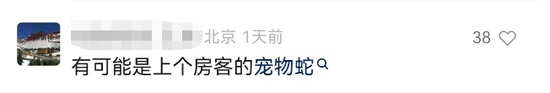 都是杨家将的后代，杨文举救下杨文广，哥哥为何不识亲弟弟？