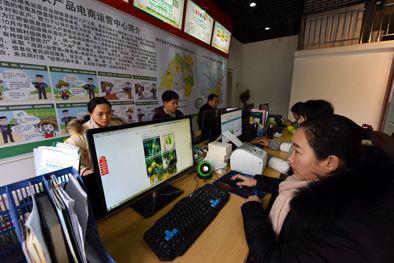  △江西省南丰县益农信息社工作人员在收集农产品信息（2018年2月5日摄）。