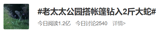 鍚撳潖浜嗭紒鑰佷汉甯﹀瓩瀛愬叕鍥惌甯愮閽诲叆涓€鏉″ぇ铔嘷鏂版氮鏂伴椈