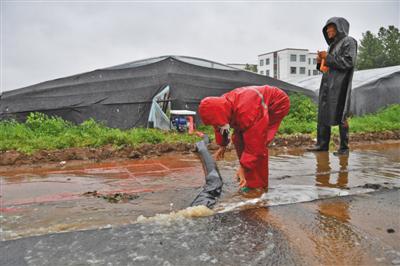 8月12日，寿光市纪台镇，当地菜农用水泵给积水的蔬菜大棚抽水。新京报记者 吴江 摄