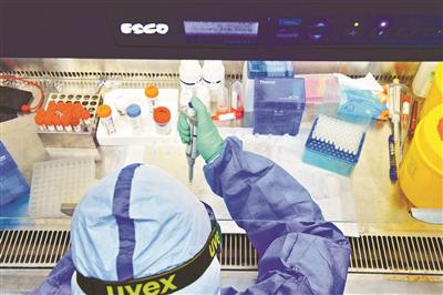 生物坦然柜是实验室内最重要的设备,余红将双手伸入其中操作挑取核酸