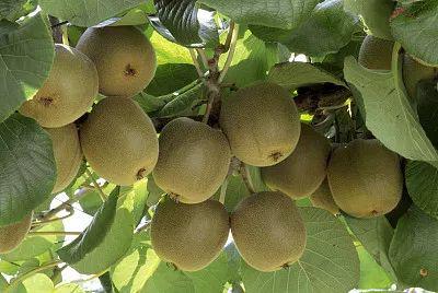  图片来源：视觉中国