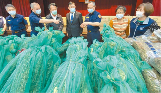  嘉义警方检破的大麻。图自台学&ldquo;中时新闻网&rdquo;