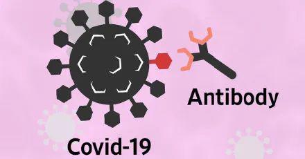 全球都在寻找新冠抗体药一文揭开抗体免疫的面纱