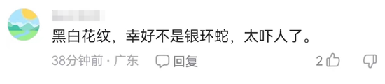 张雪峰走后，那个“挖煤的”女人撑住了v6.9.9 官方安卓版