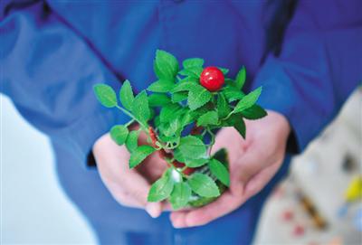 11月28日，感染艾滋病的戒毒人员牛牛挑选了一株绿植，心理咨询师通过观察道具的选择，可以从心理层面有效治疗各种心理障碍和药物依赖。