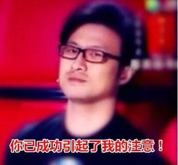 长安剑：县委书记一怒为“汪峰” 是小题大做吗