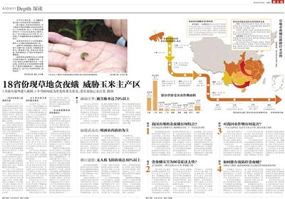新京报今年6月曾对我国贪夜蛾灾情进行跟踪报道。