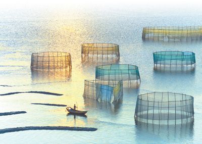  蒂埃里拍摄的福建霞浦渔村风光。