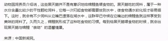 数千特朗普支持者又聚集华盛顿示威游行,特朗普乘机飞过