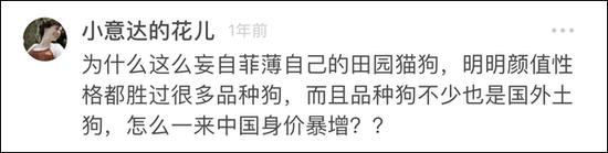 田园小狗:杭州养狗严管惹争议:“国产狗”也属禁止饲养犬