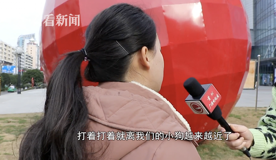 爱犬被大狗一口咬死 对方主人:狗咬的与我无关