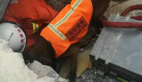 消防员携搜救犬排查被困人员情况。 受访者供图