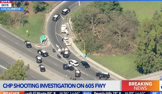 海外网|美国男子躲在草丛伏击警察,被大批警力包抄,当场毙命