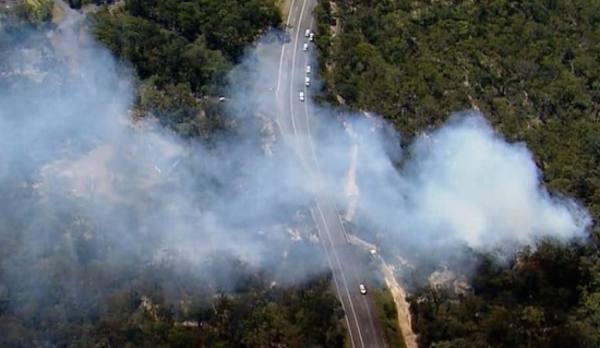 澳大利亚一飞机坠毁后引发丛林大火（视频截图）