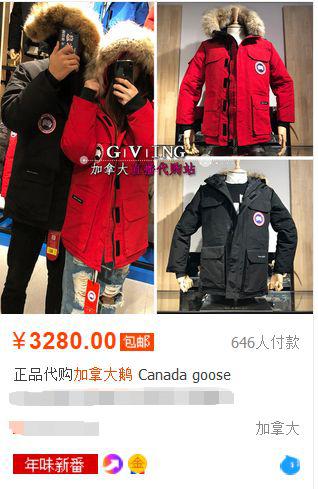 加拿大鹅与高仿区别(避坑知识篇)