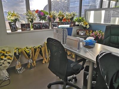 金也淘在北京的工位旁边摆满了用于悼念的菊花。 新京报记者 倪兆中 摄