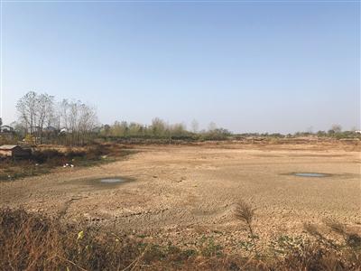滁州市来安县双塘村干涸的水塘。