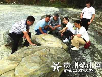 |贵州尧龙山挖出4.4亿年前化石群 最长的五六十厘米