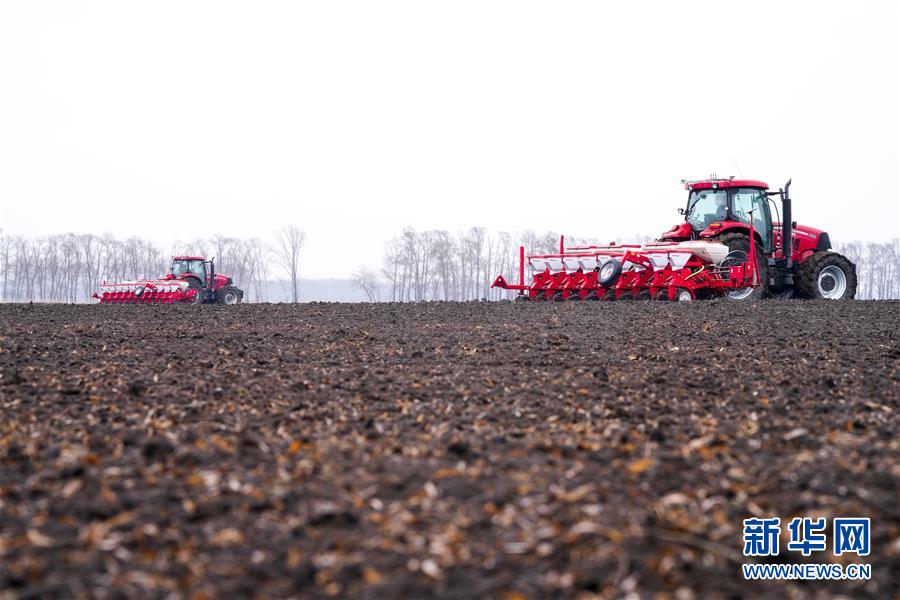 黑龙江省哈尔滨市双城区铧镒农机合作联社的拖拉机进行机械化玉米播种工作（4月20日摄）。新华社记者 王松 摄