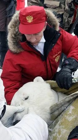 普京赤裸上身泡冰水这次肌肉秀他要一箭双雕了