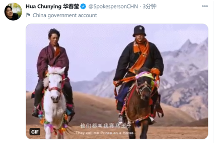 丁真不知道自己怎么红的,华春莹为他连发三推