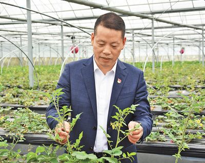 摄(人民视觉)金秋时节,浙江省宁波市奉化区萧王庙街道滕头村党委书记