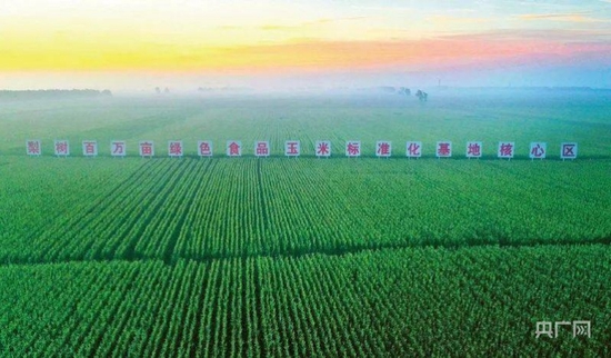 四平市梨树县绿色食品玉米标准化基地（央广网发 四平市委宣传部供图）