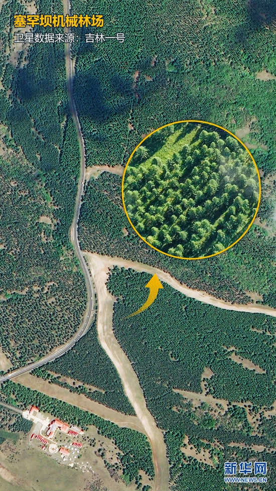 塞罕坝机械林场。卫星影像来源：吉林一号