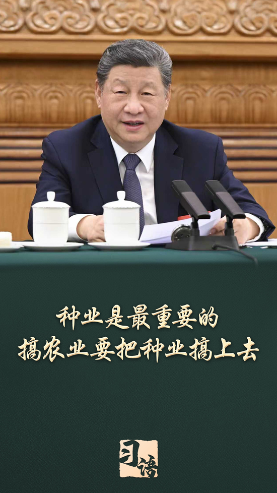 习语丨一粒小小的种子，何以让总书记如此牵挂？